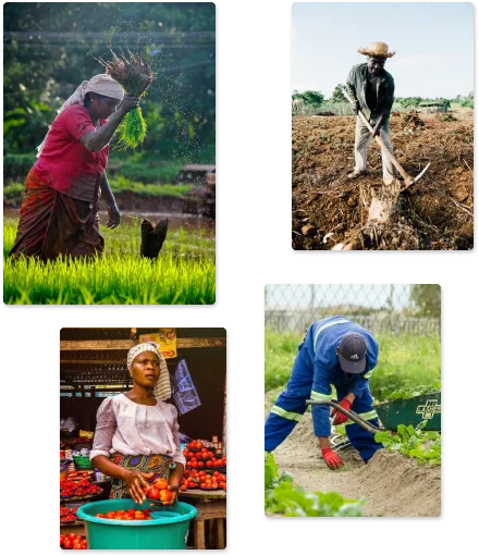 farming women